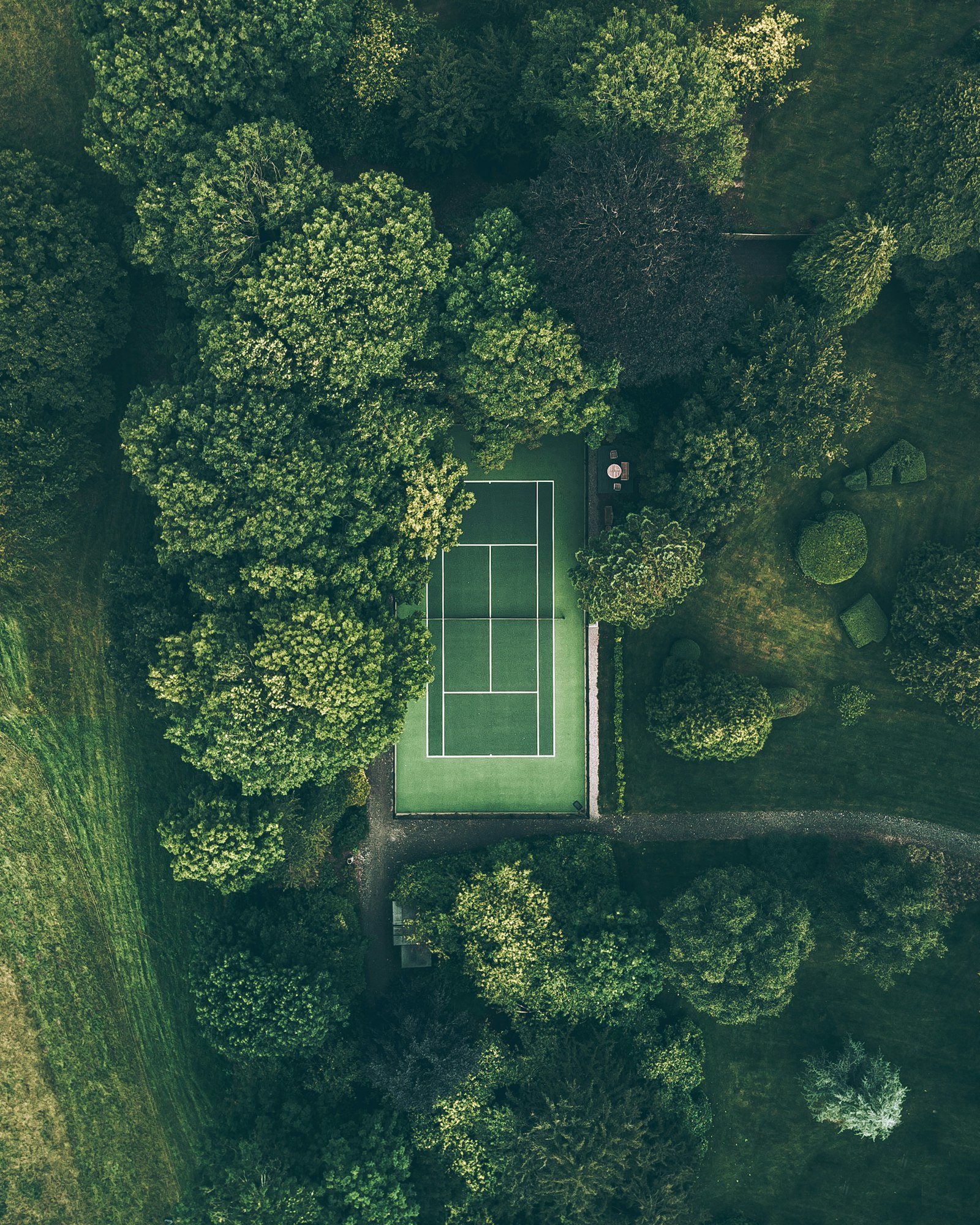 Court Surfacing & Construction — SixSix project photography